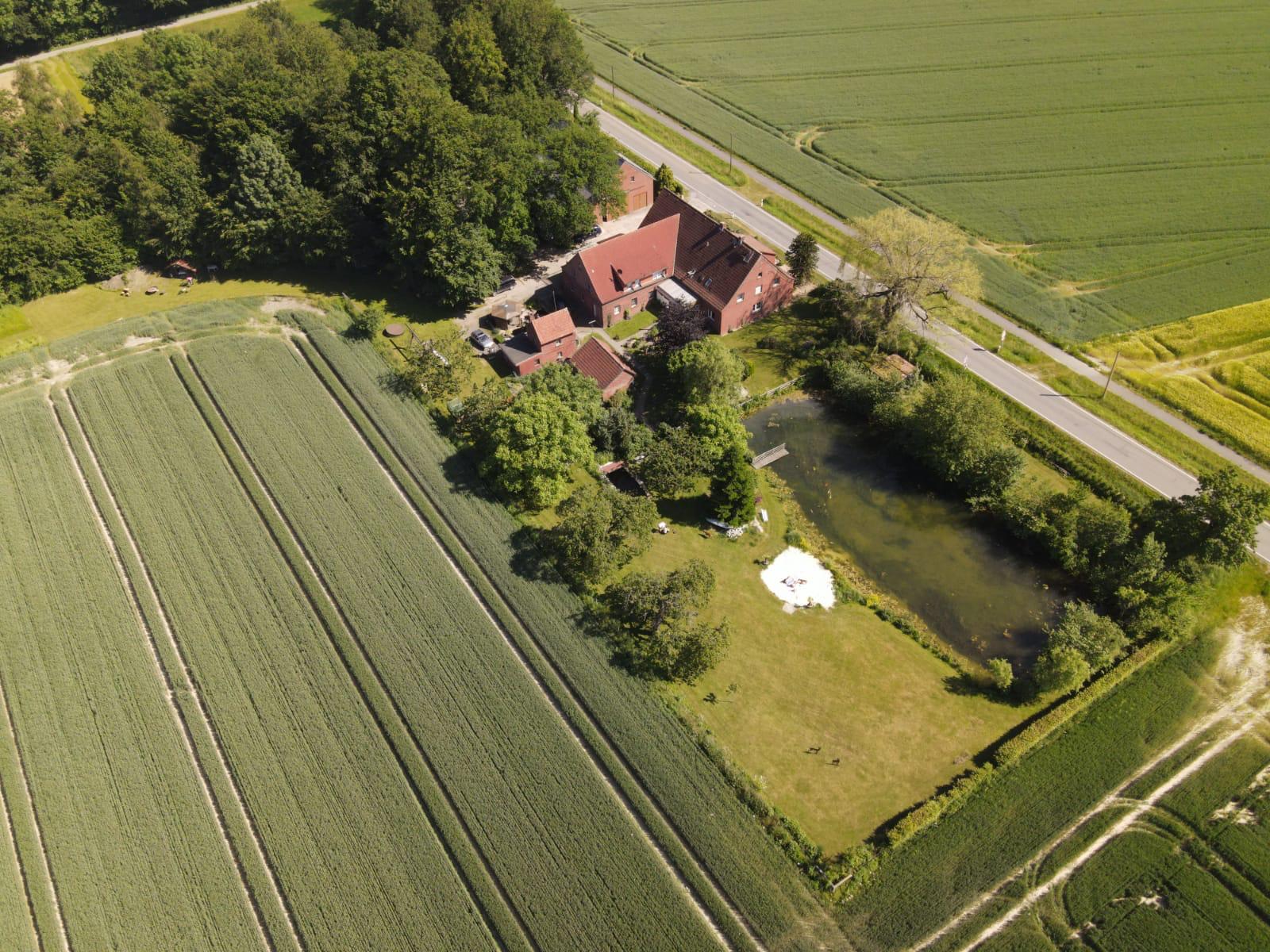 Koi-Teich auf dem Hof der Ferienwohnungen Zur Wassermühle